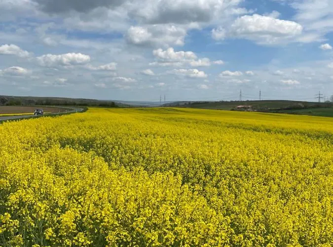 Inga شقة Spabrucken
